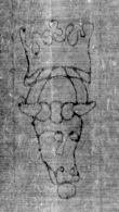 DE5025-tl129_206 - Typ:0 - ID: 160639 - Eintrag Nr.: 43 Wasserzeichen DE5025-tl129_206