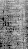 DE5025-tl131_237 - Typ:0 - ID: 160723 - Eintrag Nr.: 7 Wasserzeichen DE5025-tl131_237