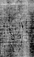 DE5025-tl131_238 - Typ:0 - ID: 160724 - Eintrag Nr.: 6 Wasserzeichen DE5025-tl131_238