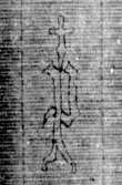 DE5025-tl131_272 - Typ:0 - ID: 160726 - Eintrag Nr.: 4 Wasserzeichen DE5025-tl131_272