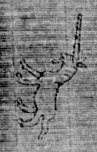 DE5025-tl131_365 - Typ:0 - ID: 160732 - Eintrag Nr.: 6 Wasserzeichen DE5025-tl131_365