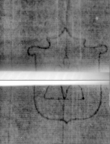 DE5580-Musms1536OctavaVox_94 - Typ:0 - ID: 160742 - Eintrag Nr.: 76 Wasserzeichen DE5580-Musms1536OctavaVox_94