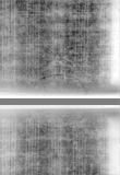 Wasserzeichen DE5580-Muspr40Bassus_H6