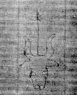 DE5025-tl112_35 - Typ:0 - ID: 160994 - Eintrag Nr.: 17 Wasserzeichen DE5025-tl112_35