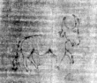 DE5025-tl112_65 - Typ:0 - ID: 160996 - Eintrag Nr.: 15 Wasserzeichen DE5025-tl112_65