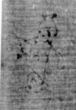 DE5025-tl112_172 - Typ:0 - ID: 161004 - Eintrag Nr.: 6 Wasserzeichen DE5025-tl112_172