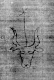 DE5025-tl112_178 - Typ:0 - ID: 161005 - Eintrag Nr.: 5 Wasserzeichen DE5025-tl112_178