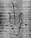 DE5025-tl112_199 - Typ:0 - ID: 161006 - Eintrag Nr.: 4 Wasserzeichen DE5025-tl112_199