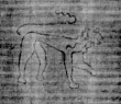 DE5025-tl112_237 - Typ:0 - ID: 161008 - Eintrag Nr.: 2 Wasserzeichen DE5025-tl112_237