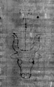 Wasserzeichen DE3270-theol202_3