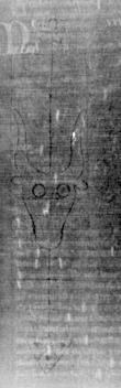 Wasserzeichen DE3270-theol202_26