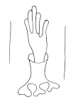 Wasserzeichen DE8150-HS_1060_15