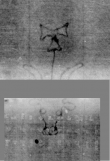 Wasserzeichen DE3270-theol219_1