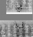 Wasserzeichen DE3270-theol219_36