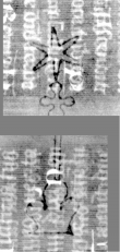 Wasserzeichen DE3270-theol219_47