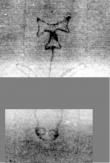 Wasserzeichen DE3270-theol219_193