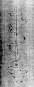 DE8850-30.9.2A4_1 - Typ:0 - ID: 161131 - Eintrag Nr.: 152 Wasserzeichen DE8850-30.9.2A4_1