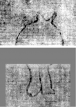 DE5025-tl142_4 - Typ:0 - ID: 161141 - Eintrag Nr.: 3 Wasserzeichen DE5025-tl142_4