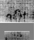 DE5025-tl142_61 - Typ:0 - ID: 161147 - Eintrag Nr.: 1 Wasserzeichen DE5025-tl142_61