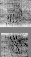 Wasserzeichen DE5025-tl142_117