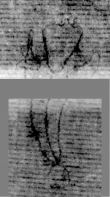 Wasserzeichen DE5025-tl142_121