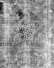 Wasserzeichen DE5580-2Muspr12450_C1