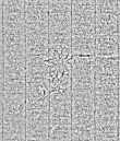 Wasserzeichen DE4795-GoS564_999a