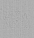 Wasserzeichen DE4795-GoS572_999a