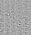 Wasserzeichen DE4795-GoS573_999