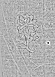 Wasserzeichen DE4795-GoS574_999