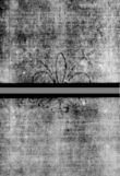 Wasserzeichen DE5580-4Muspr12Cantus_B1