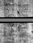 Wasserzeichen DE5580-4Muspr12Beibd2Bassus_B3