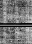 Wasserzeichen DE5580-4Muspr12Cantus_C3