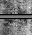 Wasserzeichen DE5580-4Muspr12Beibd2Bassus_C1