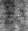 Wasserzeichen DE5580-4Muspr12Beibd3Bassus_bb1