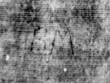 DE5580-4Muspr52Beibd1Tenor_F3 - Typ:0 - ID: 161310 - Eintrag Nr.: 83 Wasserzeichen DE5580-4Muspr52Beibd1Tenor_F3