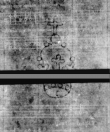 Wasserzeichen DE5580-4Muspr12Beibd5Bassus_A3