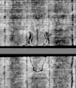Wasserzeichen DE5580-4Muspr12Beibd6Cantus_n5