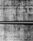 Wasserzeichen DE5580-4Muspr12Beibd6Altus_ii3
