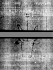 Wasserzeichen DE5580-4Muspr12Beibd6Tenor_GG3
