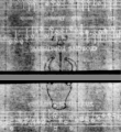 Wasserzeichen DE5580-4Muspr12Beibd6Bassus_B3