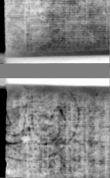 Wasserzeichen DE5580-Muspr40Beibd2Cantus_b4