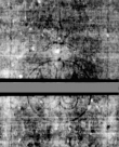Wasserzeichen DE5580-4Muspr52Beibd2Bassus_N3