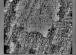 Wasserzeichen DE0960-Mlf373_10