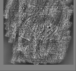 Wasserzeichen DE0960-Mlf373_11