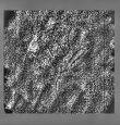 Wasserzeichen DE0960-Mlf373_156