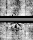 DE5580-4Muspr52Beibd13Bassus_AA1 - Typ:0 - ID: 161548 - Eintrag Nr.: 12 Wasserzeichen DE5580-4Muspr52Beibd13Bassus_AA1