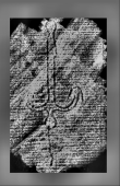 Wasserzeichen DE0960-Mlf262_77