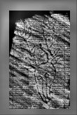 Wasserzeichen DE0960-Mlf262_29