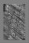 Wasserzeichen DE0960-Mlf262_32